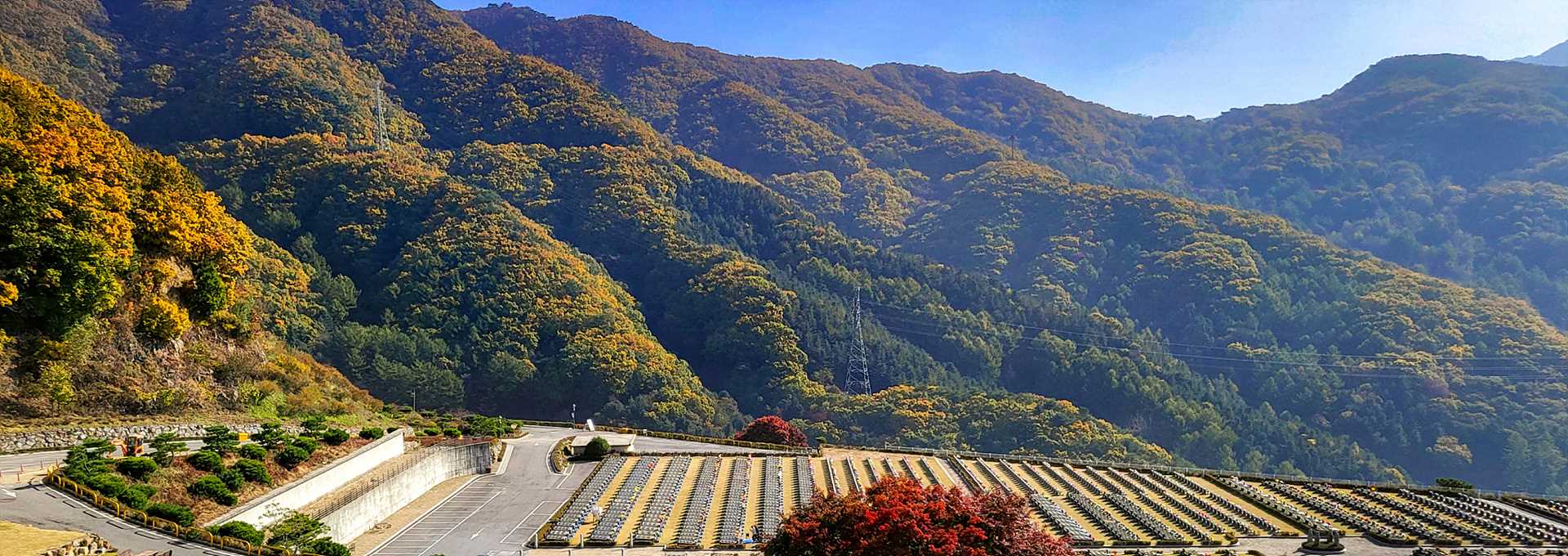 첫장 단독 혜택 이미지